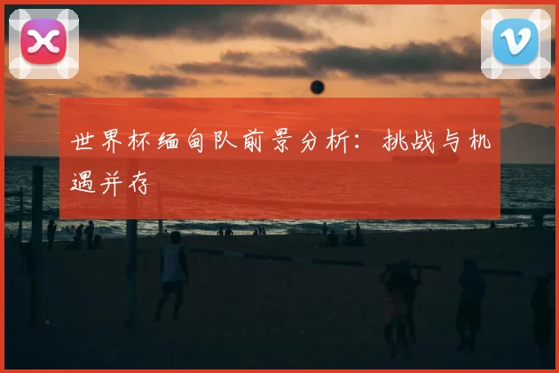 世界杯缅甸队前景分析：挑战与机遇并存